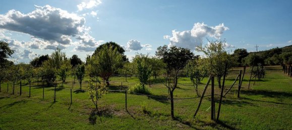 8 rooms House in Passignano sul Trasimeno, Italy No. 113601 8