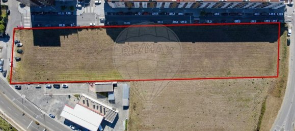 7000m² Land in Esgueira, Portugal No. 142587 9