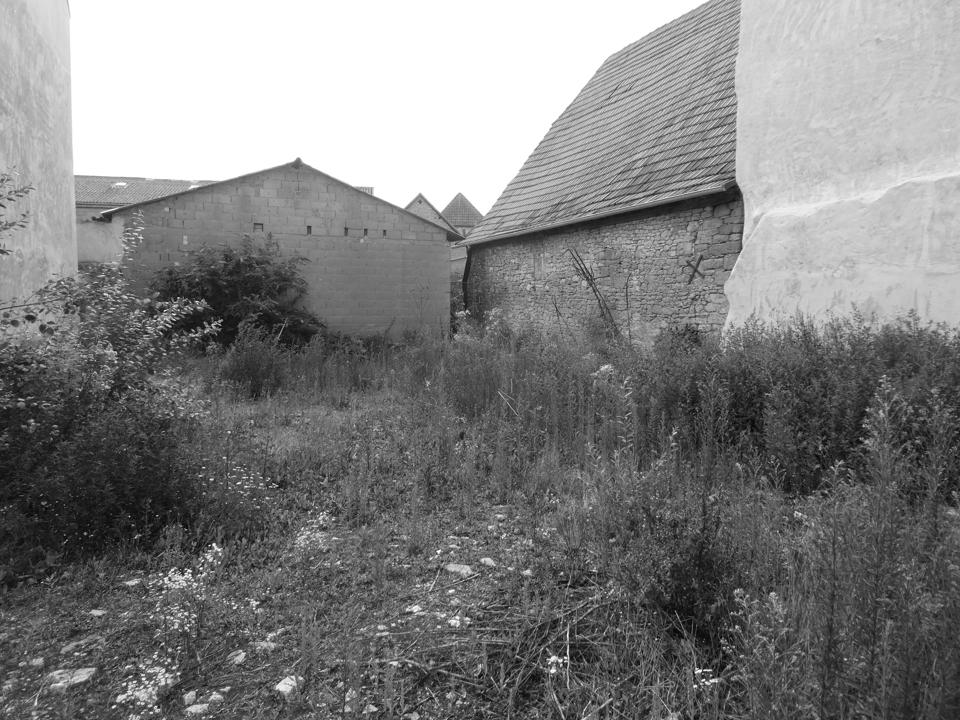 Grundstück in Alzey-Worms, Germany, Nr. 225242