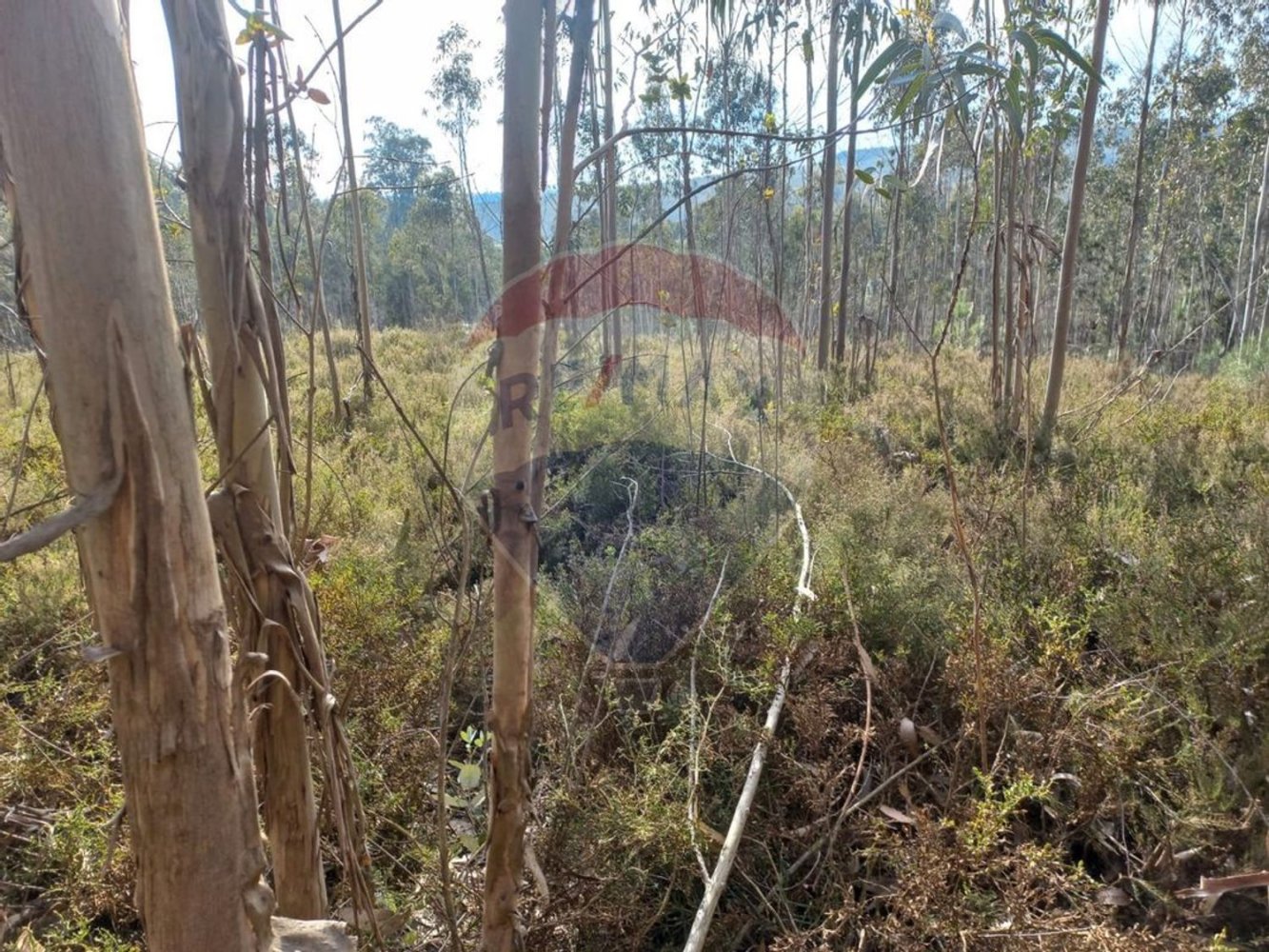 Terrain à Valongo, Portugal 31050m² No. 32598