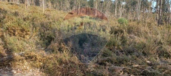 Terrain à Valongo, Portugal 31050m² No. 32598 4