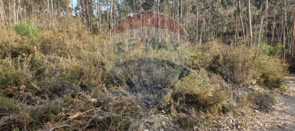 Terrain à Valongo, Portugal 31050m² No. 32598 3