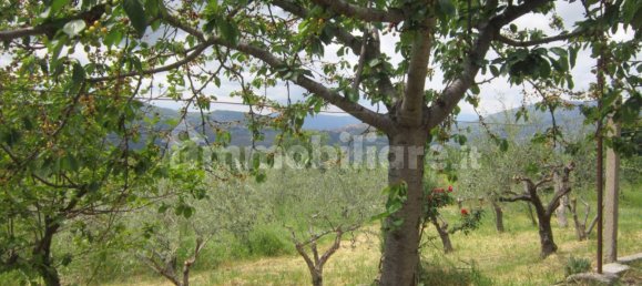 3 bedrooms House in Trivento, Italy No. 341591 18