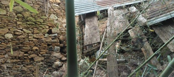 3 rooms House in Pietrasanta, Italy No. 237667 4