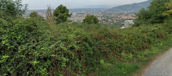 3 rooms House in Pietrasanta, Italy No. 237667 2