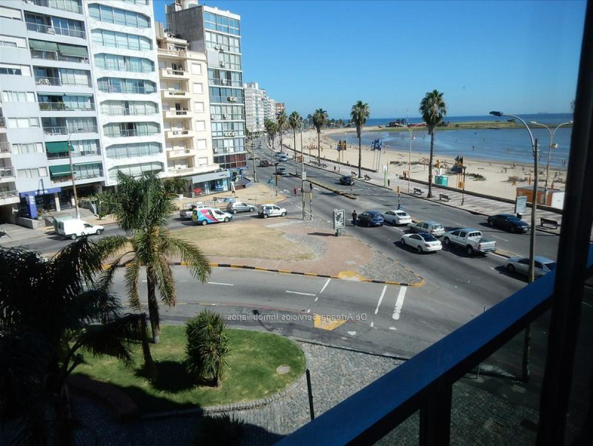 4 bedrooms Apartment in Montevideo, Uruguay No. 12391