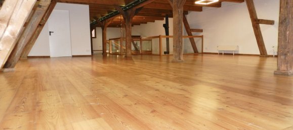 Gewerbliche Immobilie in Ludwigslust-Parchim, Germany 312m², Nr. 222522 6