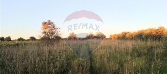 4720m² Land in Azambuja, Portugal No. 58856 6