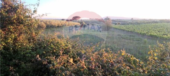 4720m² Land in Azambuja, Portugal No. 58856 2