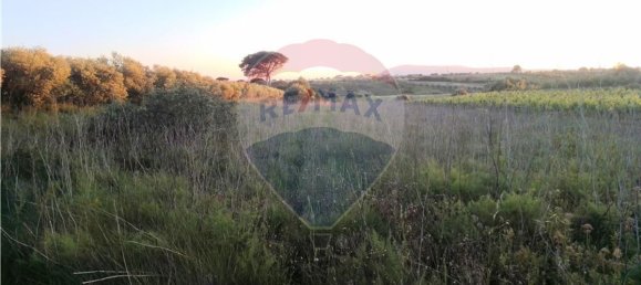 4720m² Land in Azambuja, Portugal No. 58856 5