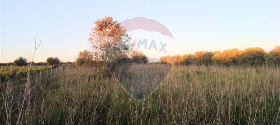 4720m² Land in Azambuja, Portugal No. 58856 8