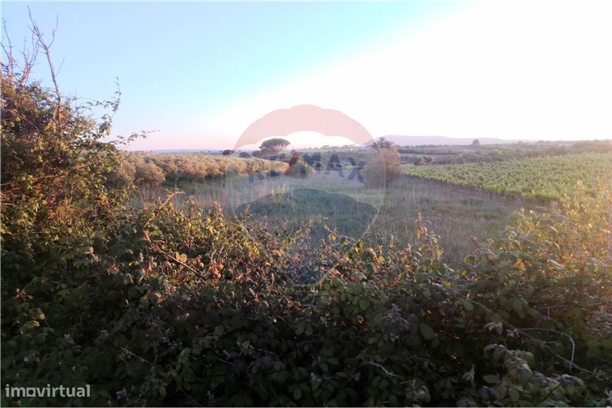 4720m² Land in Azambuja, Portugal No. 58856