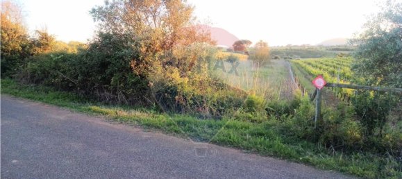 4720m² Land in Azambuja, Portugal No. 58856 3