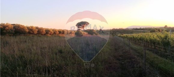 4720m² Land in Azambuja, Portugal No. 58856 7