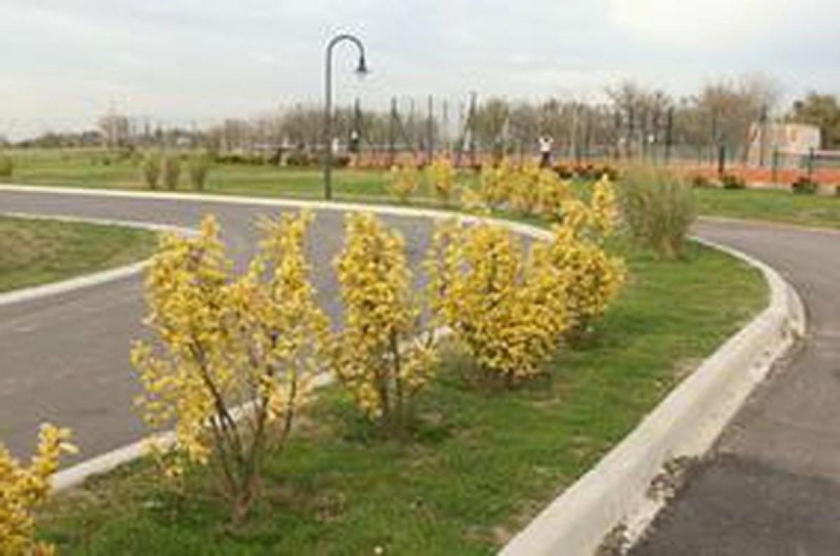  Land in Esteban Echeverria, Argentina No. 48883