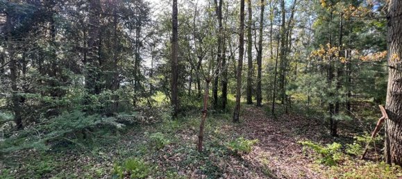  قطعة أرض في Saint-Denis-en-Val, France 1376متر مربع رقم 262600 2