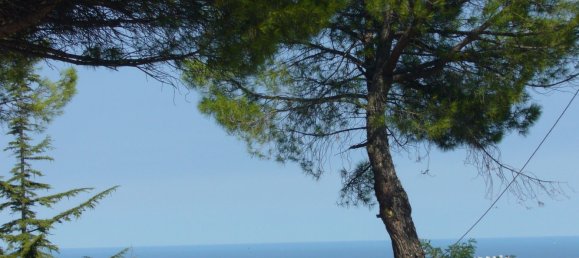 2214m² Land in Saludecio, Italy No. 255201 3