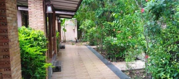 30 chambres Café / restaurant à Pattaya, Thailand No. 1163 12