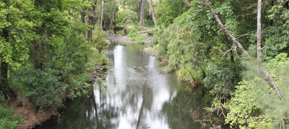 3 Schlafzimmer Bauernhof in Collins Creek, Australia, Nr. 1114 3