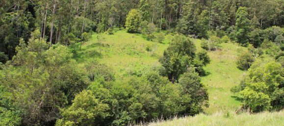 3 Schlafzimmer Bauernhof in Collins Creek, Australia, Nr. 1114 28