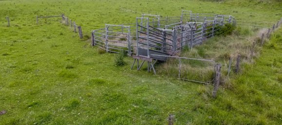 3 Schlafzimmer Bauernhof in Collins Creek, Australia, Nr. 1114 4