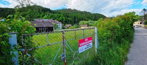 Terrain à Weitensfeld im Gurktal, Austria No. 164135 2