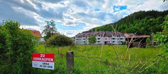 Terrain à Weitensfeld im Gurktal, Austria No. 164135 6