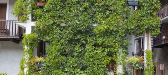 6-salle Villa à Gravere, Italy No. 305255 21