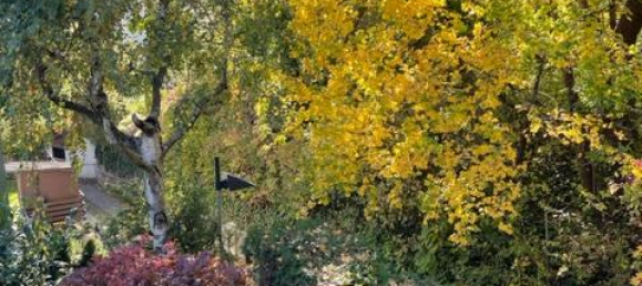 4-salle Maison de ville à Puchenstuben, Austria No. 187675 15