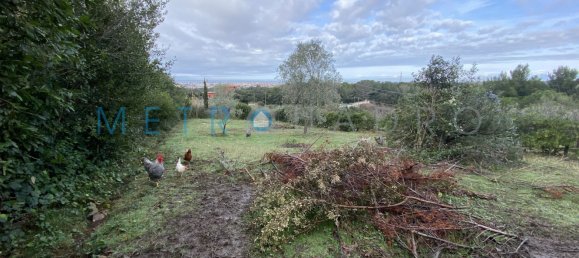  قطعة أرض في Livorno, Italy 2300متر مربع رقم 158405 3