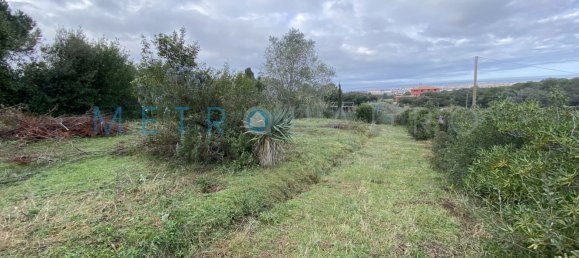  قطعة أرض في Livorno, Italy 2300متر مربع رقم 158405 2