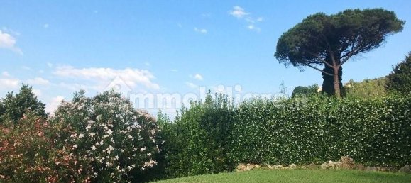 5 bedrooms Villa in Camaiore, Italy No. 173754 5