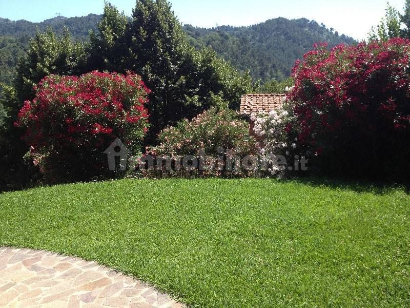 5 bedrooms Villa in Camaiore, Italy No. 173754