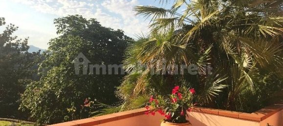 5 bedrooms Villa in Camaiore, Italy No. 173754 8