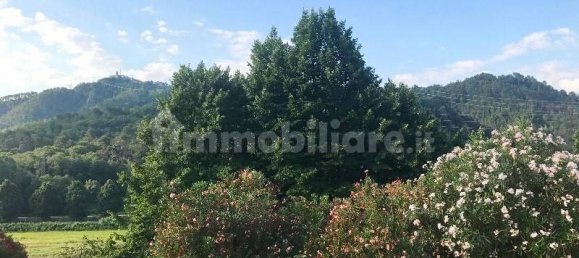 5 bedrooms Villa in Camaiore, Italy No. 173754 6