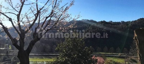 5 bedrooms Villa in Camaiore, Italy No. 173754 15