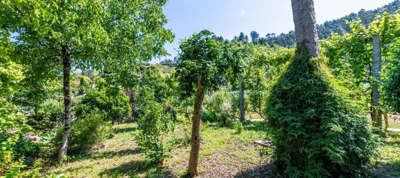 4 Schlafzimmer Haus in Covide, Portugal, Nr. 165896 35