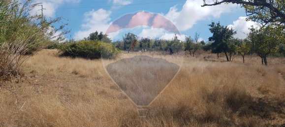 3240m² Land in Mafra, Portugal No. 69681 13