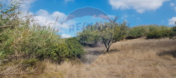3240m² Land in Mafra, Portugal No. 69681 6