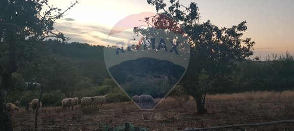 3240m² Land in Mafra, Portugal No. 69681 8