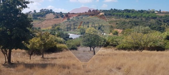 3240m² Land in Mafra, Portugal No. 69681 5