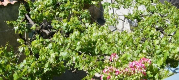 Квартира с 4 спальнями в Вико нель Лацио, Италия № 115604 3