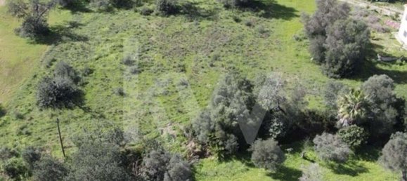 2000m² Land in Almancil, Portugal No. 136006 21