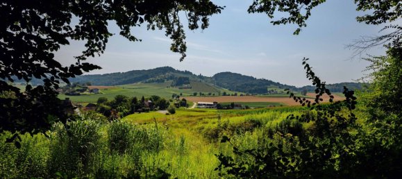 Land in Leibnitz, Austria No. 129866 11