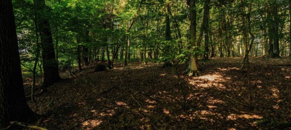 Land in Leibnitz, Austria No. 129866 8