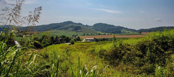 Land in Leibnitz, Austria No. 129866 3