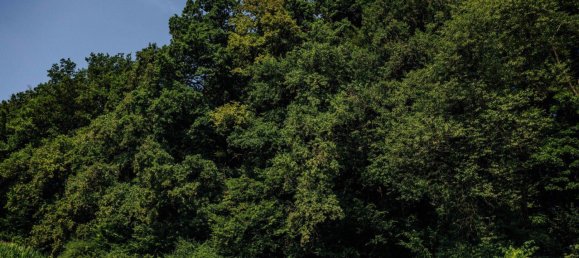 Land in Leibnitz, Austria No. 129866 7