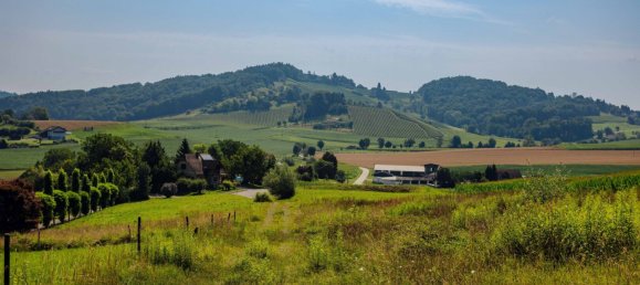 Land in Leibnitz, Austria No. 129866 13