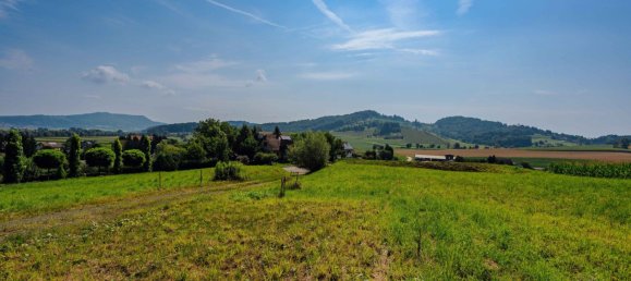 Land in Leibnitz, Austria No. 129866 4