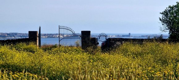 5 bedrooms House in Galatone, Italy No. 311022 28